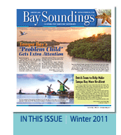 Bay Soundings printed edition cover