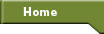 Home button